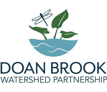 DBWP company logo