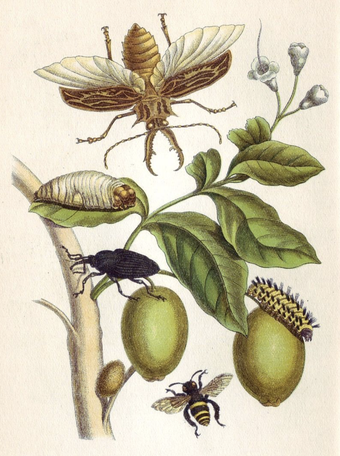 Blog thumbnail image